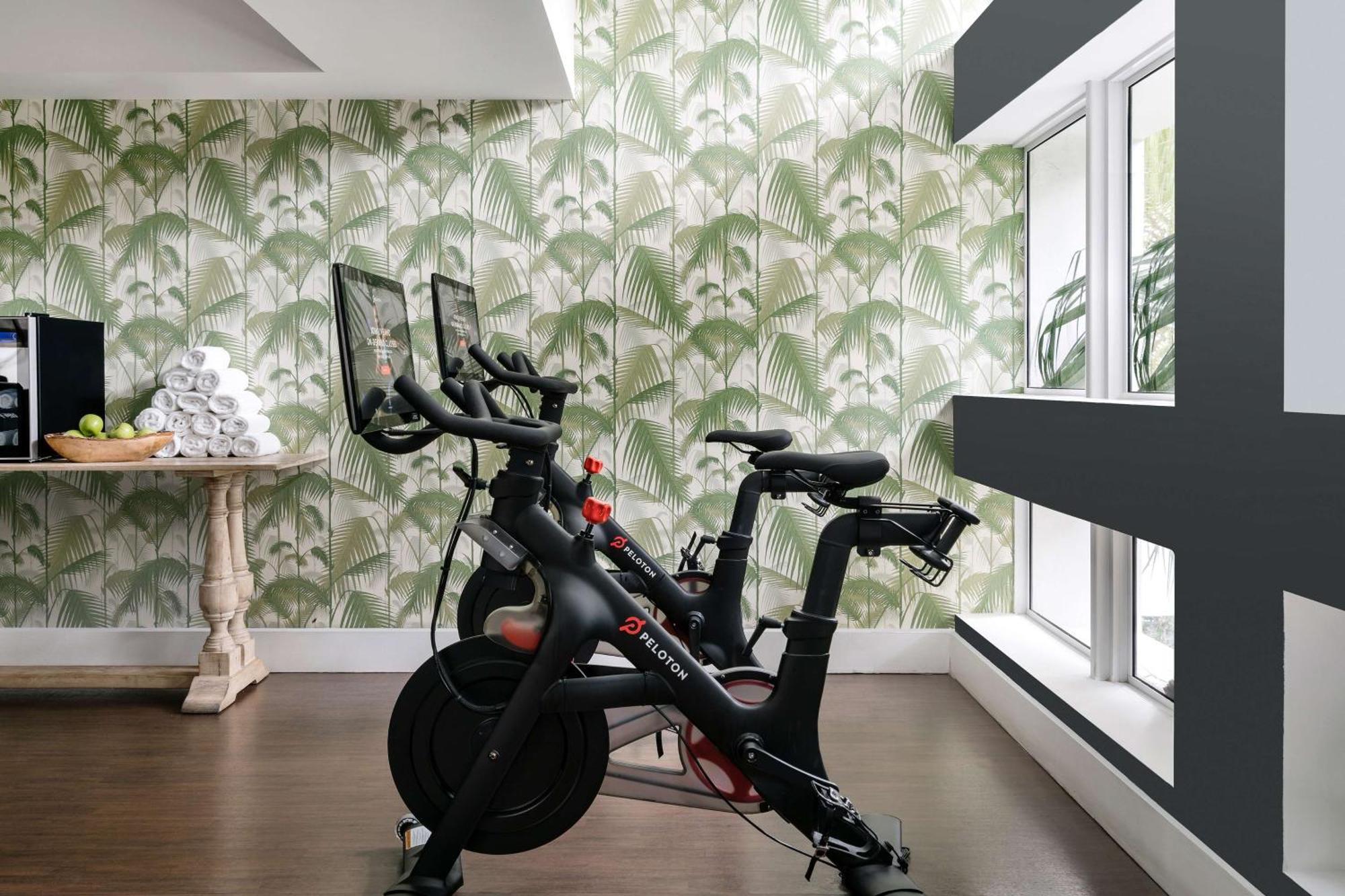 阿罗鹦鹉螺酒店 迈阿密海滩 外观 照片 Peloton stationary bike